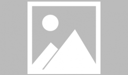 火影成人动漫,成人世界的忍者传奇